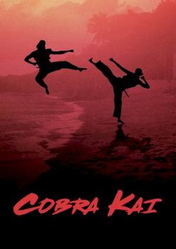 Võ Quán Karate Cobra Kai 2