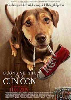 Đường Về Nhà Của Cún Con